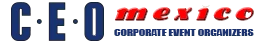 CEO Mexico logo